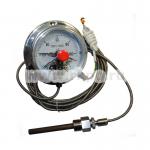 Термометры капиллярные (электроконтактные) ТМП-100С